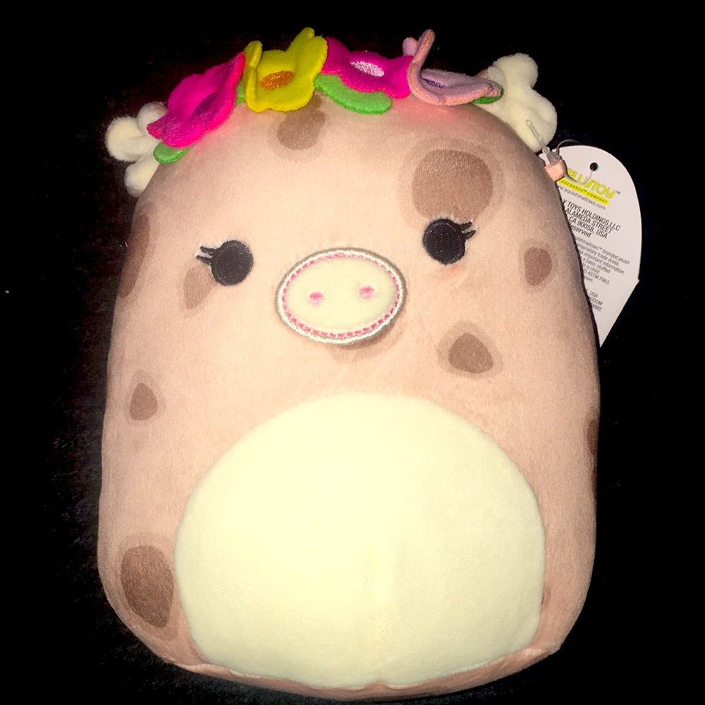 Aquitaine the Piggy Squishmallow💕🐽